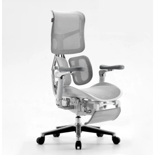 辦公椅人體工學椅辦電腦椅Doro S300